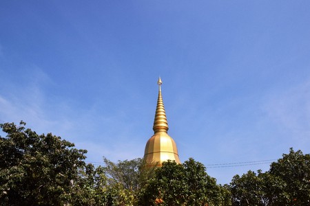 Golden Pagoda is higher than the forest.の写真素材