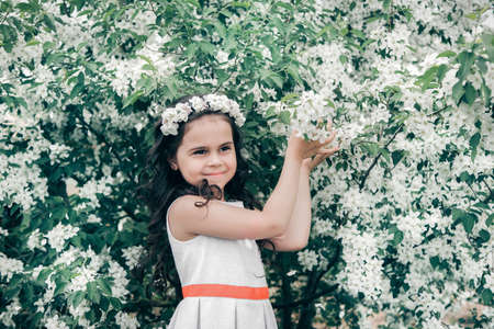 little beautiful girl at blossom apple treesの写真素材