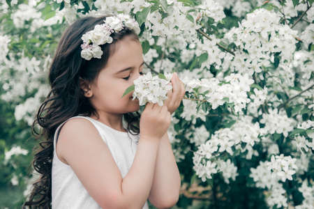 Little beautiful girl at blossom apple tree in white dressの写真素材