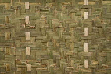 bambooの写真素材
