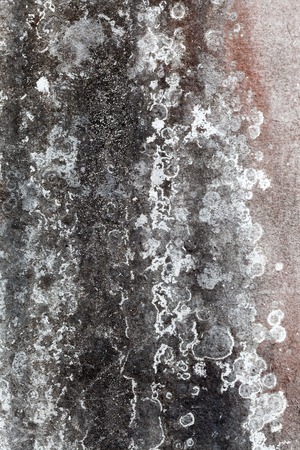 old wall texture