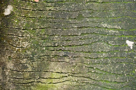 old wall textureの写真素材