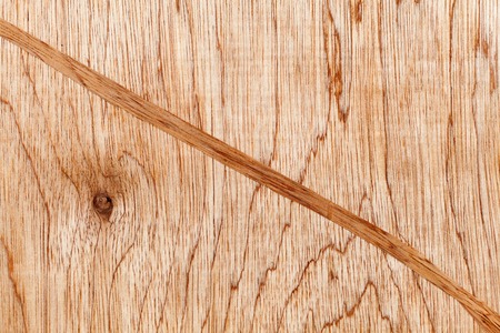 Texture of closeup wood backgroundの写真素材