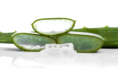 aloe vera isolated on white backgroundの写真素材