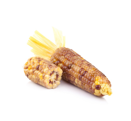 Cobs of corn isolated on a white backgroundの写真素材