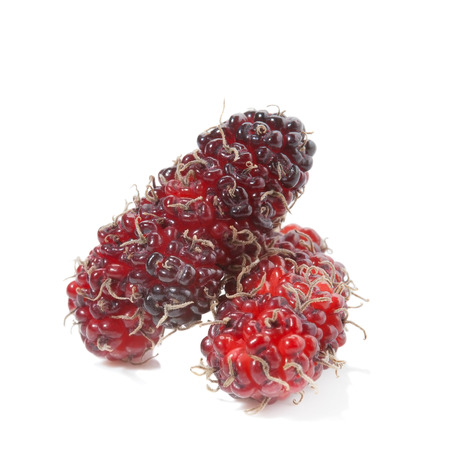 mulberry fruit isolated on white background