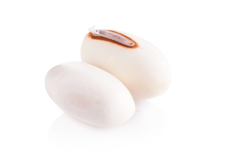 White kidney beans on white backgroundの写真素材