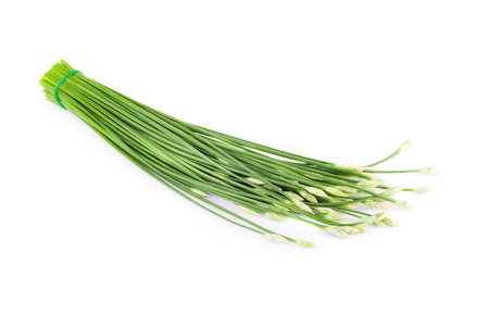 Onion flower isolated on white backgroundの写真素材