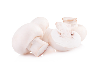 Champignon Isolated on White Backgroundの写真素材