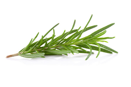 rosemary isolated on white backgroundの写真素材