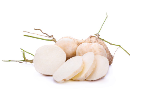 Jicamas on white backgroundの写真素材