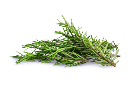 rosemary isolated on white backgroundの写真素材