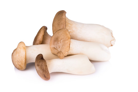 King Oyster mushroom (Eringi) on white backgroud.の写真素材