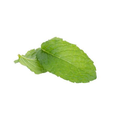 mint leaf isolated on white background.