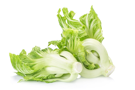 Fresh green mustard on white background.の写真素材