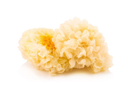 Chinese food tremella fuciformis white fungus isolated.の写真素材