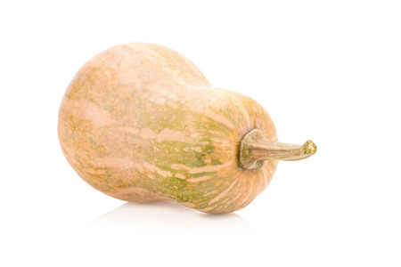 Butternut squash isolated on a white background.の写真素材