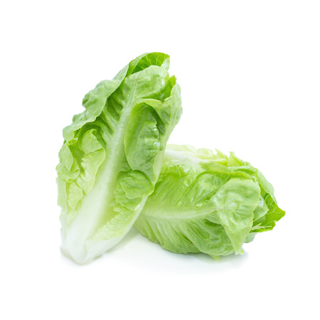 Cos Lettuce Isolated on White Background.の写真素材