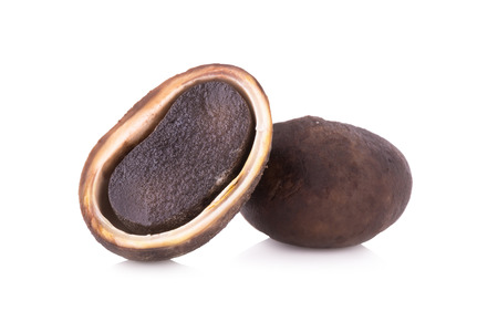 Close up Mushroom - Barometer Earthstars, Mushroom - Barometer Earthstars (Astraeus hygrometricus)...