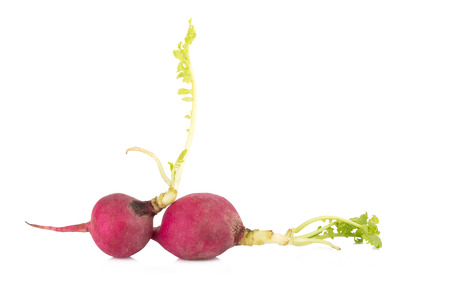 red radish, fresh radish, radish isolated on white backgroundの写真素材
