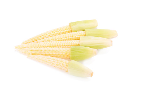 baby corn isolated on white background.の写真素材