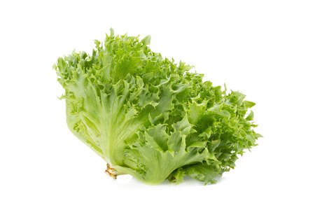 green frillies iceberg lettuce isolated on white background.の写真素材