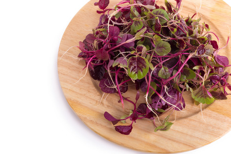 red spinach isolated on white backgroundの写真素材