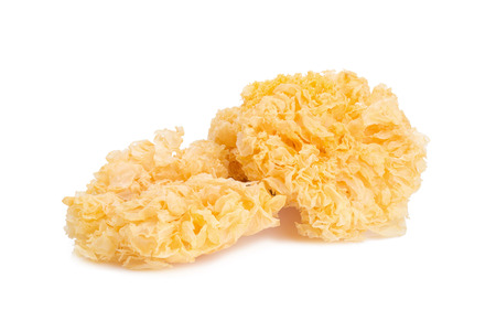 Chinese food tremella fuciformis white fungus isolatedの写真素材