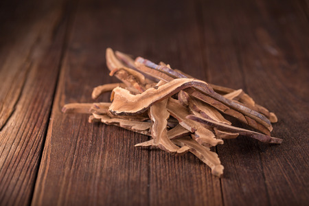 Dried lingzhi mushroom on dark backgroundの写真素材