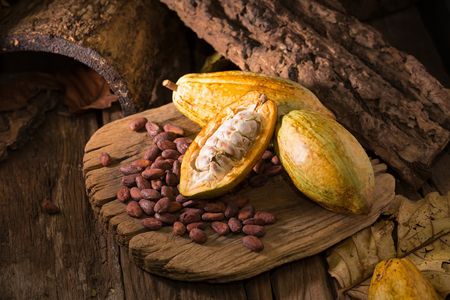Cacao fruit, raw cacao beans, Cocoa pod on wooden background.の写真素材