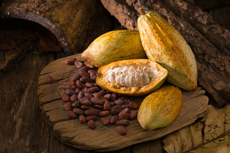 Cacao fruit, raw cacao beans, Cocoa pod on wooden background.の写真素材