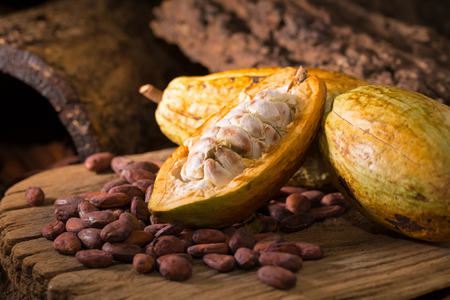 Cacao fruit, raw cacao beans, Cocoa pod on wooden background.の写真素材