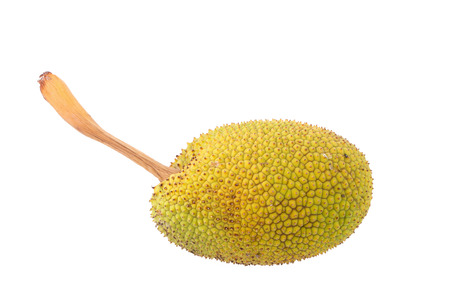 Whole and half fresh breadfruit on white background.