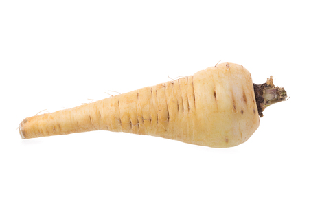 Fresh parsnip roots on a white background.の写真素材