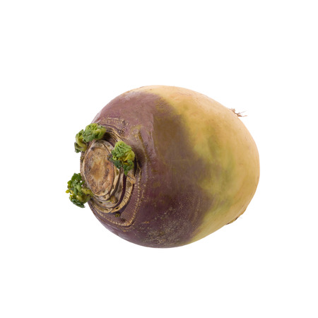 Fresh Swede isolated on a white background.の写真素材