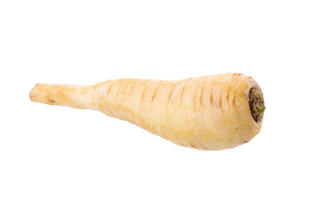 Fresh parsnip roots on a white background.の写真素材