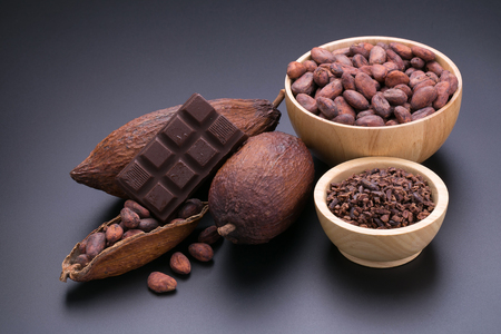 Chocolate bar and dried cocoa pod on black background.の写真素材