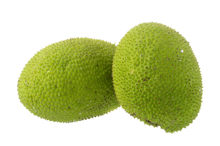 Whole fresh breadfruit on white background.の写真素材