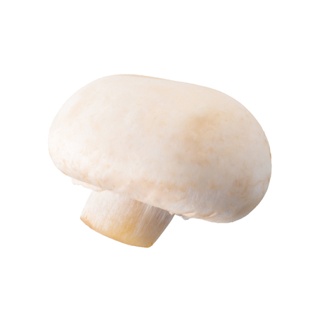 White champignon mushrooms, Champignon Isolated on White Background.の写真素材