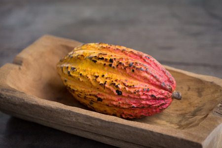 Cacao fruit, raw cacao beans, Cocoa pod on wooden background.の写真素材