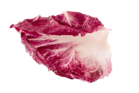 Radicchio, red salad isolated on white background.の写真素材