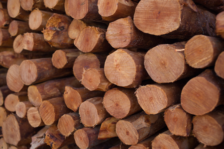 Firewood stacked and prepared for winter Pile of wood logs.
