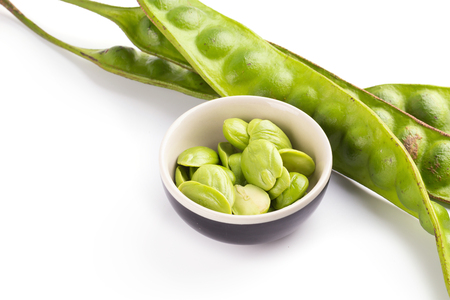 Parkia speciosa bean or bitter bean on white background.の写真素材