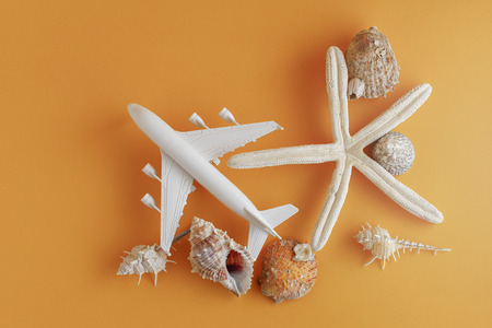 Plastic toy airplane and Sea shells arranged on a color Background. and copy space. vacation concept.の写真素材