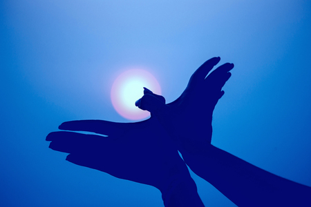 Silhouette of a hand gesture like bird flying on vintage blue sky.の写真素材