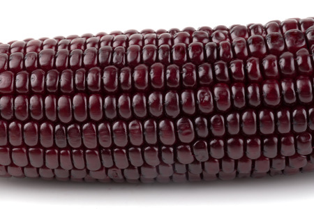 Fresh purple corns isolated on a white background.の写真素材