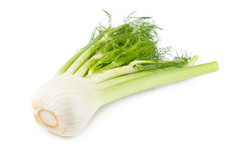 Fresh organic fennel isolated on a white background.の写真素材