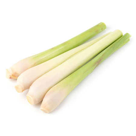 lemon grass isolated on a white background.の写真素材