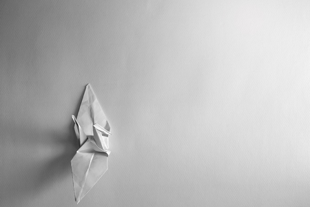 Paper birds on a white paper background.の写真素材