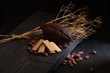Chocolate wafer and Cocoa beans on a dark background.の写真素材